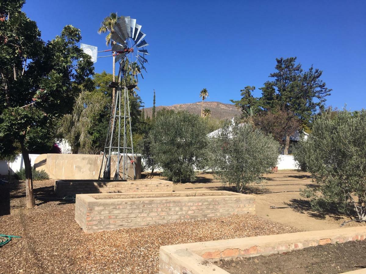 Karoo View Cottages Prince Albert Exteriör bild