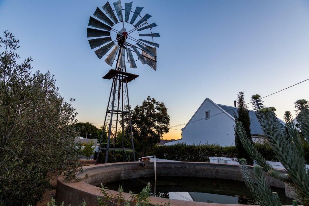 Karoo View Cottages Prince Albert Exteriör bild